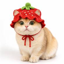 Cute Strawberry Crochet Pet Hat, Handmade Fruit Shaped Hat With Ear Holes And Ties, Suitable For Cat Photo Props, Party, Birthday And Daily Dress Up - Multicolor - View 2