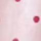 粉色
