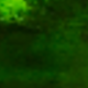 Ombre Green