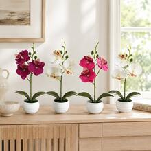 4pcs/Set - High Quality Artificial Mixed Color Phalaenopsis Orchids (With Pot), Beautiful Orchid Flowers, Lovely Room Decor, Home Indoor/Outdoor Decoration, Garden Decoration, Holiday Shopping, Luxurious Artificial Flower Gift, Valentine's Day/Graduation/Mother's Day/Anniversary/Housewarming, No Maintenance, Holiday Decorative Flowers - Multicolor - View 3