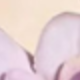 58807 Purple