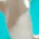 Hammerhead Shark