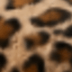 Leopard Print