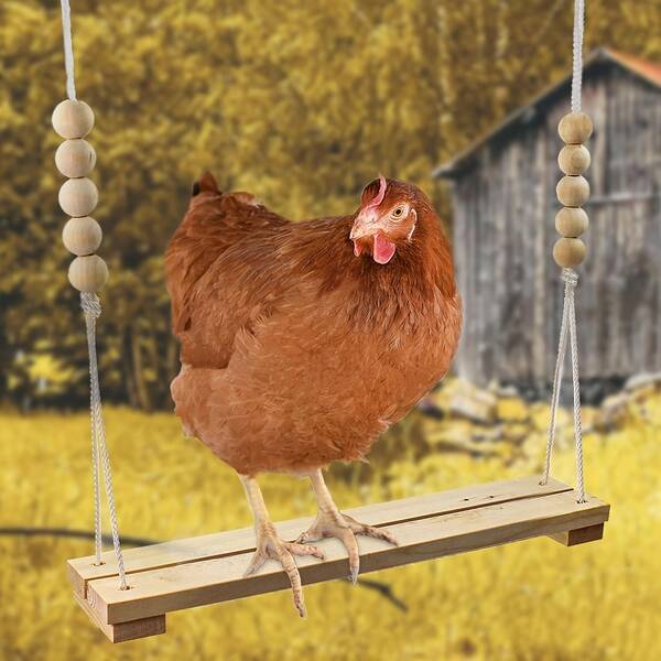 Chicken Swing Toy, Wooden Perch Stand Large Durable Perch Ladder For Poultry, Roosters, Hens, Pet Parrots Entertainment Toy, Chicken Swing Toy!!! Natural Wooden Accessories Large Durable Habitat Ladder, Suitable For Poultry, Roosters, Chickens, Pet Parrots, Macaws Entertainment Birds, Chicken Swing, Chicken Habitat, Chicken Wooden Rack, Handmade Toy, Hen Coop Accessories, Chicken Ladder, Suitable For Poultry, Large Birds, Parrots, Chickens, Macaws, Chicken Toys