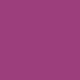 Sea Anemone Purple/Dark Cherry Red