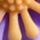 彩色