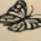 Lingering Butterfly
