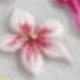 水母海洋花