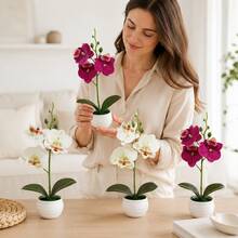 4pcs/Set - High Quality Artificial Mixed Color Phalaenopsis Orchids (With Pot), Beautiful Orchid Flowers, Lovely Room Decor, Home Indoor/Outdoor Decoration, Garden Decoration, Holiday Shopping, Luxurious Artificial Flower Gift, Valentine's Day/Graduation/Mother's Day/Anniversary/Housewarming, No Maintenance, Holiday Decorative Flowers - Multicolor - View 4