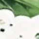 彩色
