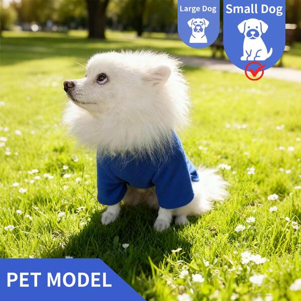 Spring Autumn Winter New Cute Dog Hoodie Jacket Pet Clothes For Golden Retriever Pomeranian Teddy
