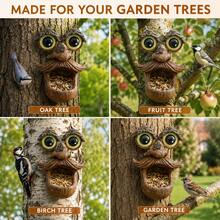 Funny Tree Face Resin Bird Feeder, Outdoor Tree-Hanging Wild Bird Feeding Station, Humorous Garden Decor Sculpture, Suitable For Backyard, Patio, Deck, Perfect For Bird Lovers And Nature Enthusiasts, Outdoor Decoration, Autumn Decor - Big-eyed Bird Feeder - View 5