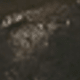 الأسود