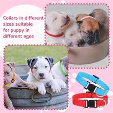 24 Pcs Puppy Collar And Leash Set, Adjustable Colorful Dog Collar And Leash Quick Release Clip Buckle Puppy Collars Whelping Collar For Small Medium Dogs Walking Training - Multicolor - View 7