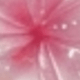 2 Pink Frangipani Flowers