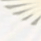 彩色