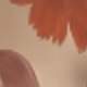 淺褐色