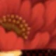 FARME VERMELHO