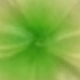 2pcs Green Plumeria