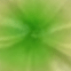 2pcs Green Plumeria