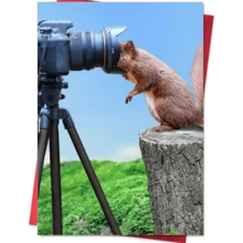 Gender-Neutral Humorous Birthday Card, Suitable For Friends, Colleagues And Sisters, Animal Lovers, Blank Space For Handwritten Wishes, Full Of Fun - View 1