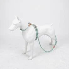 Dog P Rope P Chain All-In-One Lead Rope Anti-Explosion Shock Walk Dog Training Dog Chain Small Medium Large Dog Cat Rope Universal - Multicolor - View 7