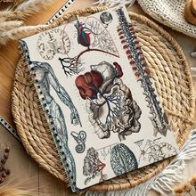 1pc Vintage Human Vascular Anatomy Spiral Notebook - For Medical Students, Nurses And Science Enthusiasts - Unique Nursing Graduation Gift, Durable Unique Design, Educational Cover Art - A5 - View 3