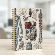 1pc Vintage Human Vascular Anatomy Spiral Notebook - For Medical Students, Nurses And Science Enthusiasts - Unique Nursing Graduation Gift, Durable Unique Design, Educational Cover Art - A5 - View 4