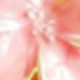 淺粉色