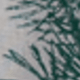 Green Leaf