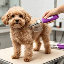 2 buah Sisir Penghilang Kusut Hewan Peliharaan, Sikat Perawatan Hewan Peliharaan dengan Gigi Bulat dari Baja Tahan Karat, Alat Penghilang Kusut Bulu Anjing dengan Pegangan Anti Selip, Sisir Bebas Goresan, Digunakan untuk Menghilangkan Kusut, Simpul, dan Bulu yang Rontok, Cocok untuk Hewan Peliharaan Berbulu Panjang dan Pendek - MultiWarna - View 2
