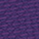 Aurora Purple