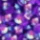 Multicolor