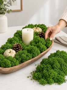 Decorative Green Moss, Suitable For Tank Crafts, Soft Natural Moss Filler, Suitable For Succulent Potted Plants, Fairy Garden, Floral Arrangement, Tabletop Centerpiece Decoration And DIY Display, Christmas, Halloween, Easter And Seasonal Home Project Greenery Decoration - Multicolor - View 6
