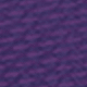 Aurora Purple