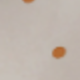 彩色