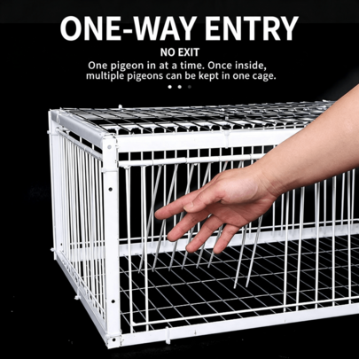 Outdoor Home Rooftop Pigeon Trap Cage, One-Way Entry Only, Automatic Single-Directional Pigeon Capture Cage, Galvanized Rust-Proof Metal Trap Door Cage, Suitable For Racing Pigeons And Wild Pigeons