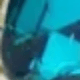 Cadet Blue