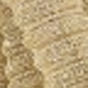 S40914-ذهبي