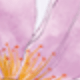 21.0螭耳壁瓶