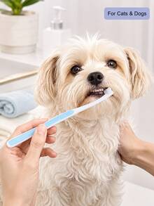 1pc Pet Toothbrush, Compact Pet-Specific Brush Head, Multi-Color Long Handle, Suitable For Dog And Cat Daily Brushing And Cleaning, Oral Care And Dental Hygiene, Puppy And Kitten Small Pet Grooming Accessory - Multicolor - View 2