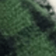 Misty Forest