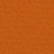 Coral Orange