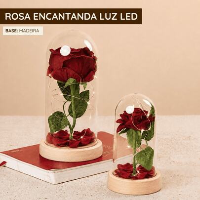 Rosa Encantada Com Luz Led Base Madeira Cúpula Com Pétalas Decoração Romântica