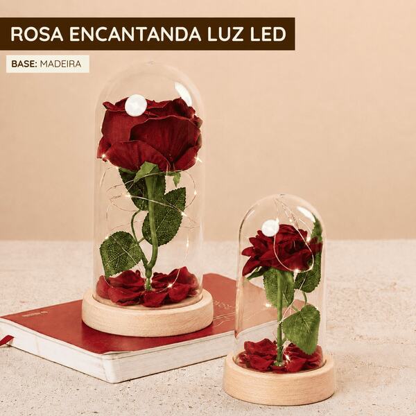 Rosa Encantada Com Luz Led Base Madeira Cúpula Com Pétalas Decoração Romântica