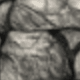 رمادي فاتح