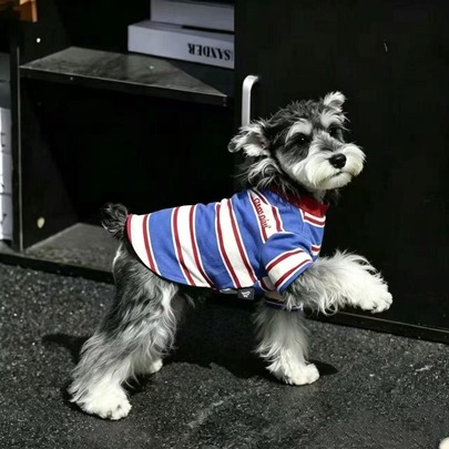ChongTribe Korean Vintage Striped Dog Undershirt, Thin Breathable Casual Pet Clothing For Small And Medium Dogs, Printed Striped Puppy Top, Teddy Puppy Daily Outing Pet Apparel