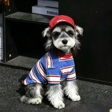 ChongTribe Korean Vintage Striped Dog Undershirt, Thin Breathable Casual Pet Clothing For Small And Medium Dogs, Printed Striped Puppy Top, Teddy Puppy Daily Outing Pet Apparel - Multicolor - View 2