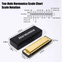 10-Hole C Key Harmonica 20 Tones, Diatonic Blues Mouth Organ With Case, Musical Gift For Beginner Student Adult Professional - Multicolor - View 4
