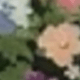 彩色